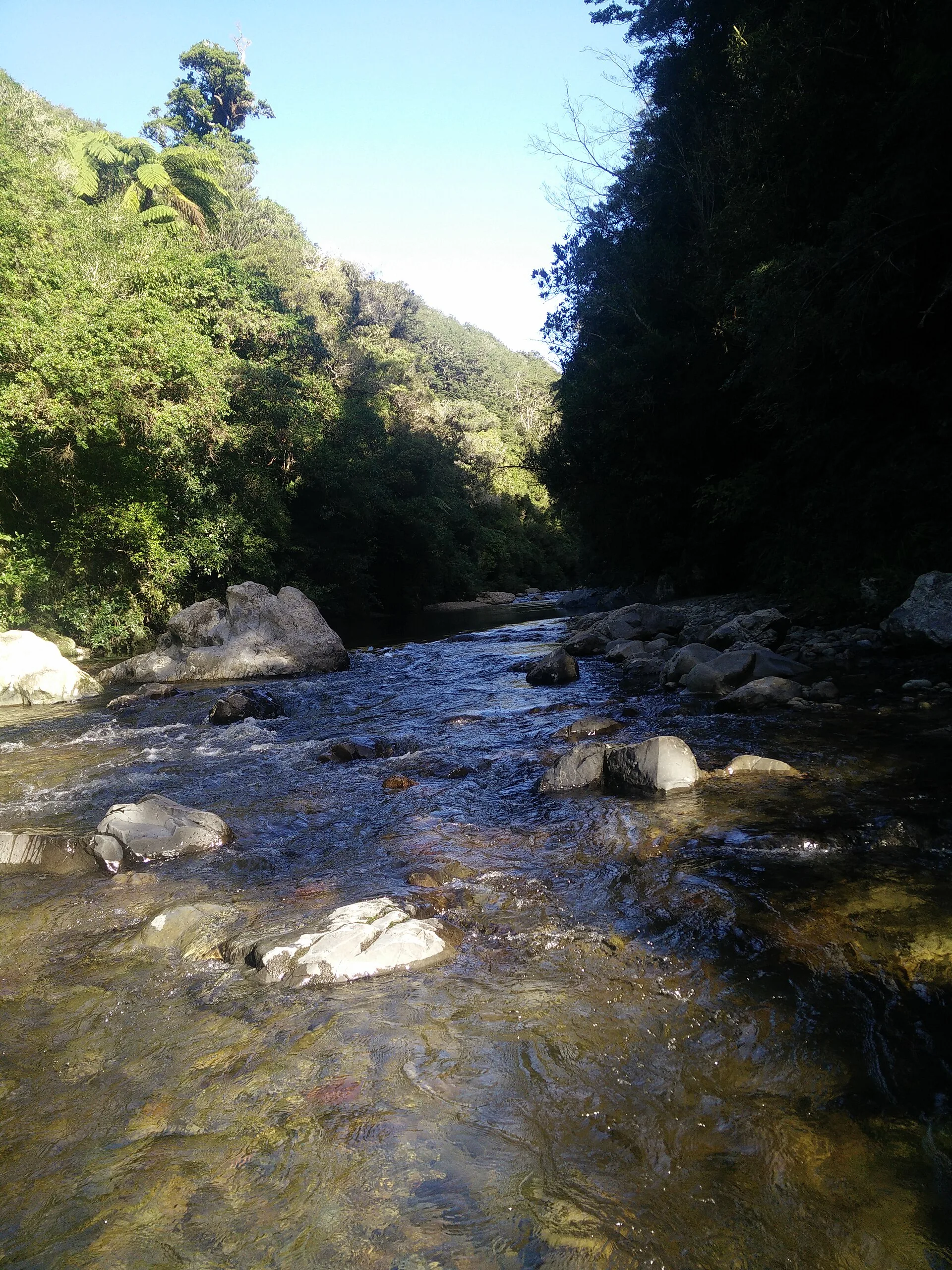 Hutt River flowing through Kaitoke Regional Park — the Lord of the Rings filming location for Rivendell, 45 minutes north of Wellington
